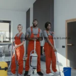 Regular Domestic Cleaning Services in London | Top-Notch Cleaners